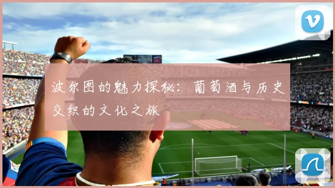 波尔图的魅力探秘：葡萄酒与历史交织的文化之旅