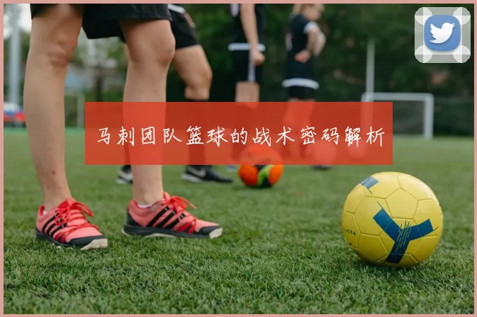 马刺团队篮球的战术密码解析
