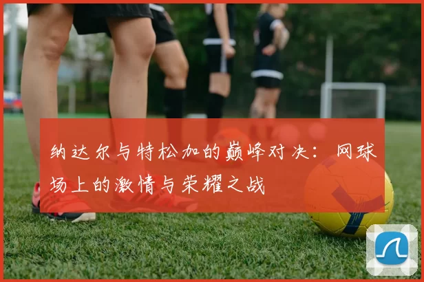纳达尔与特松加的巅峰对决：网球场上的激情与荣耀之战